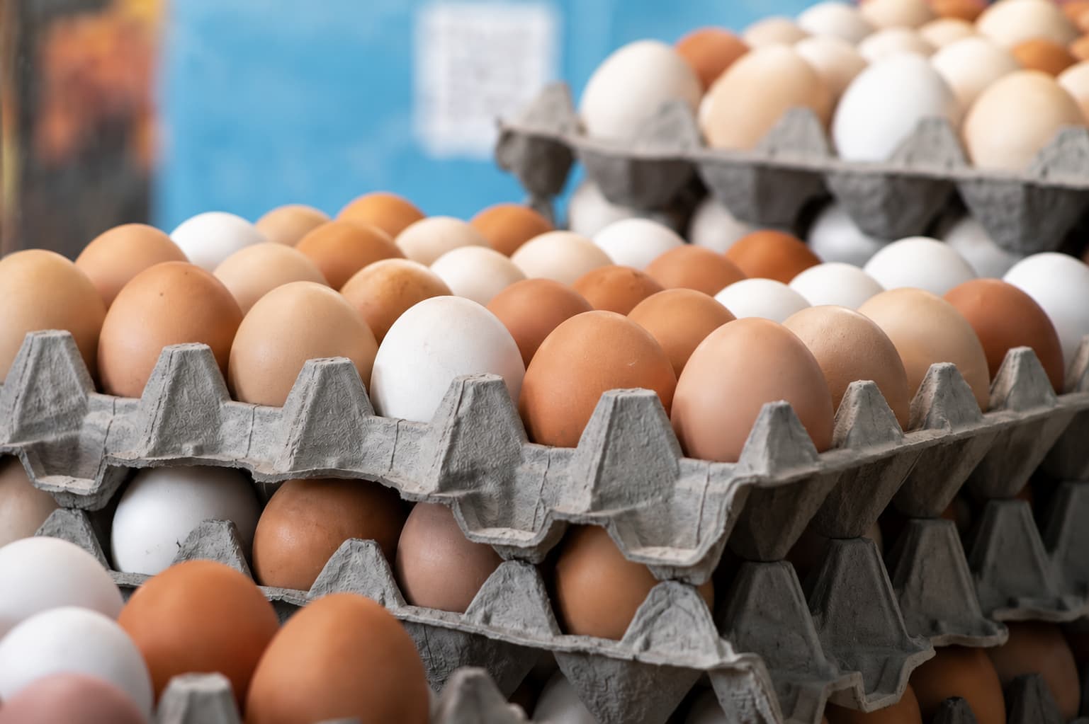 Vente d'œufs : quelles obligations pour marquer, conditionner et commercialiser sa production ?