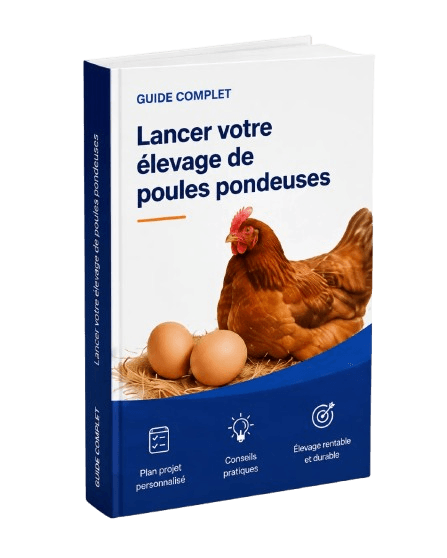 Guide complet — Lancer votre élevage de poules pondeuses